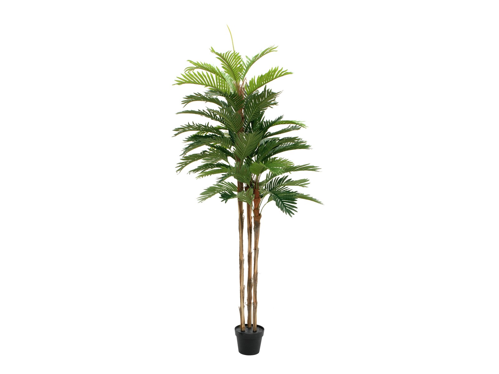 palmier-kentia-artificiel-180cm