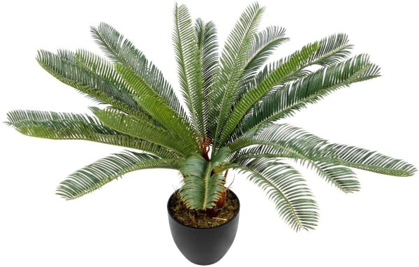 palmier-artificiel-cycas