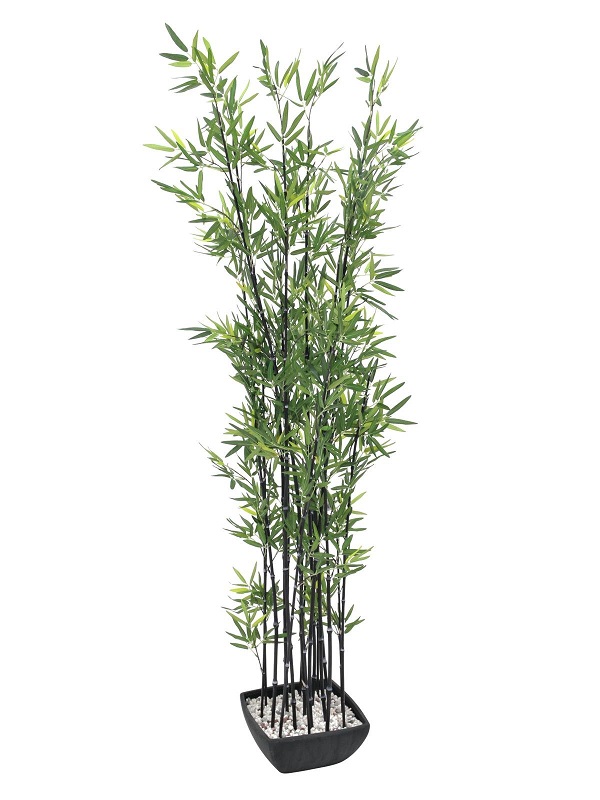 Arbre Bambou Artificiel Cannes Noires | Faux Bambous Brise Vue | Floranet