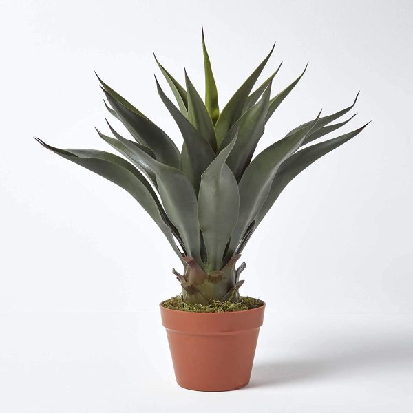 agave-artificiel