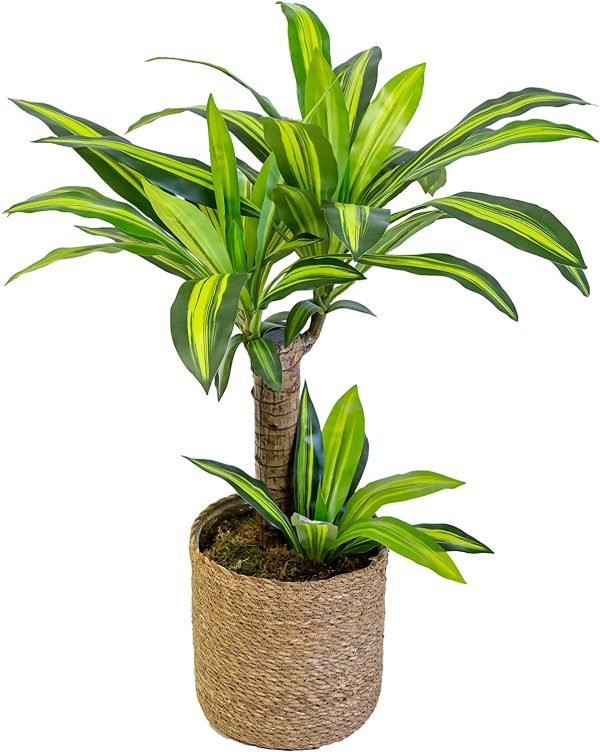 dracaena-artificiel-80cm