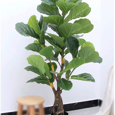 ficus-artificiel