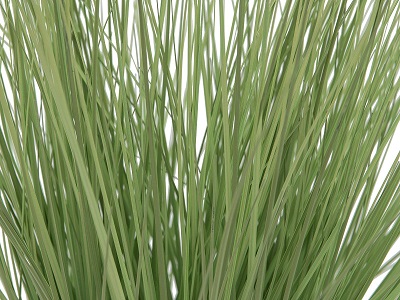 herbe-artificielle-2