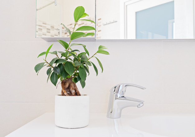 plante-artificielle-salle-de-bain