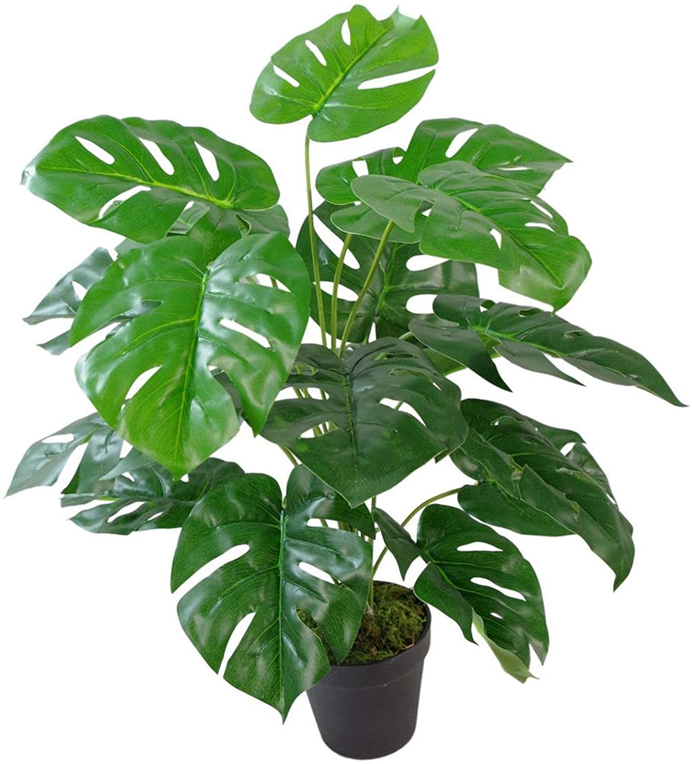 Fausse Plante Monstera -60cm | Floranet.org