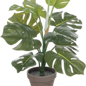 philodendron-artificiel-50cm