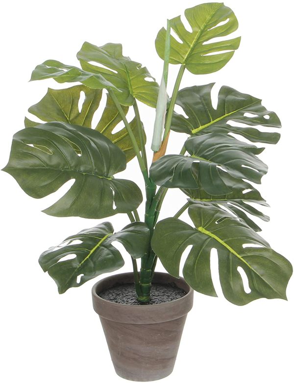 philodendron-artificiel-50cm