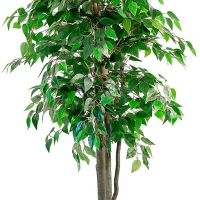 ficus-artificiel-180cm