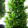 Laurier Artificiel Brise Vue En Cone-150cm – Image 3