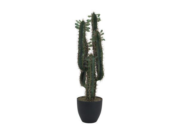 cactus-artificiel