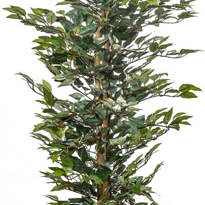 ficus-artificiel-150