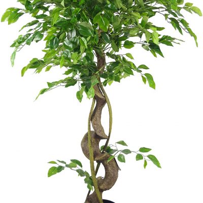 ficus-artificiel-torsadé