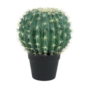 cactus-faux-contact