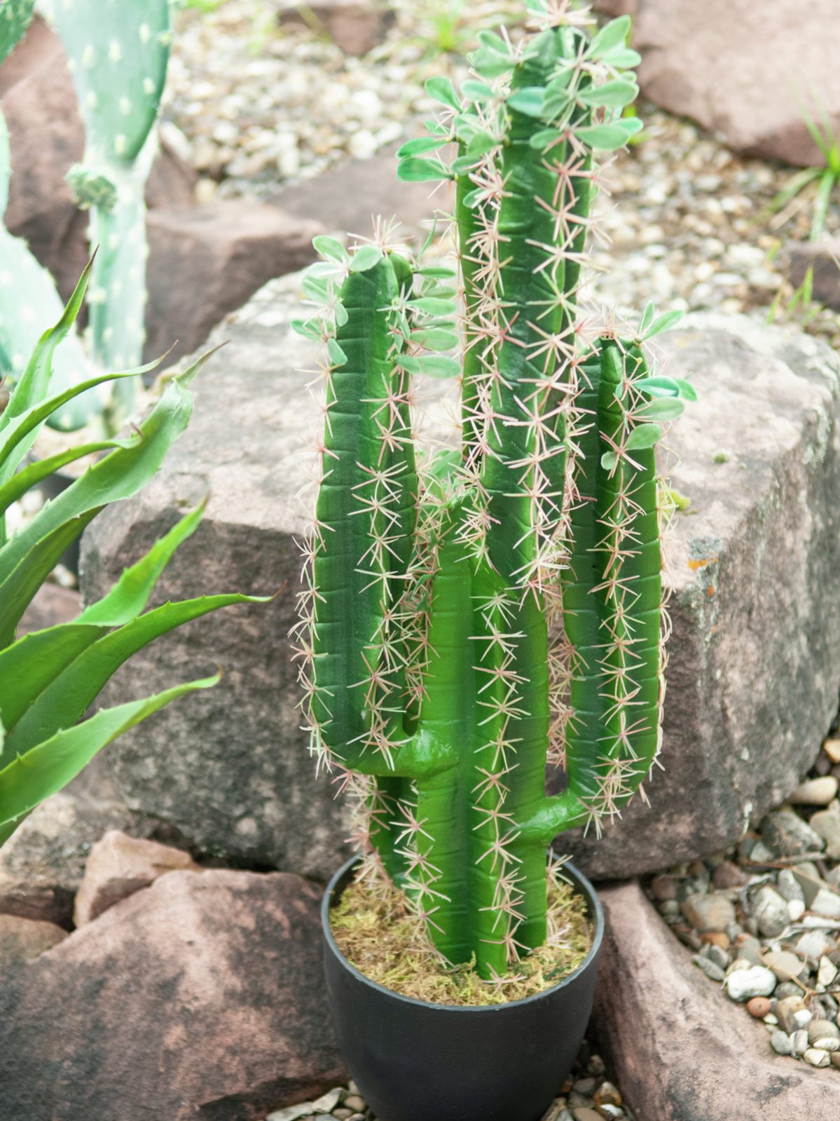 faux-cactus-3