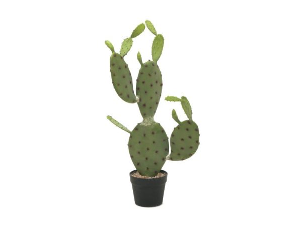 Acheter Cactus Mexicain Artificiel