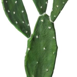 cactus-artificiel-60cm