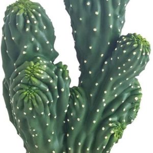 cactus-cierge-artificiel