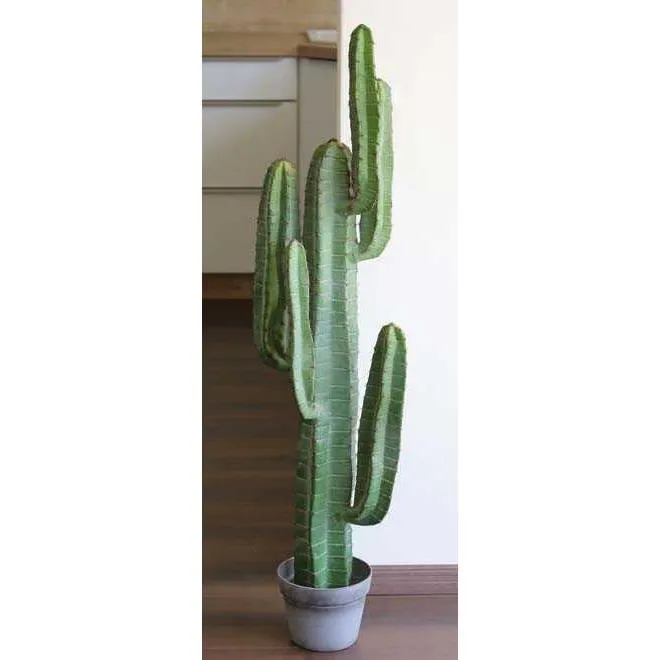 Faux Cactus Grande Taille | Floranet