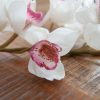 Branche d'Orchidée Cymbidium Artificielle, Blanche, 90cm – Image 4
