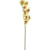 Orchidée Cymbidium Artificielle En Branche, Vert, 90cm