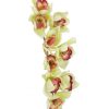 Orchidée Cymbidium Artificielle En Branche, Vert, 90cm – Image 2