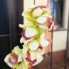 Orchidée Cymbidium Artificielle En Branche, Vert, 90cm – Image 3
