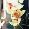 Orchidée Cymbidium Artificielle En Branche, Vert, 90cm – Image 4