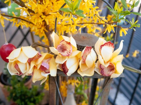 branche orchidee artificielle jaune