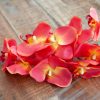 Branche d'Orchidée, Orange, 70cm – Image 4