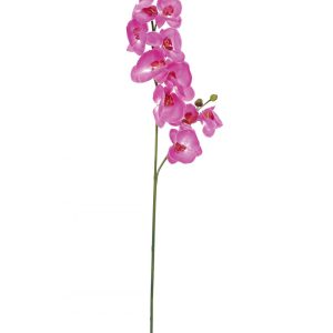 branche orchidee artificielle violette