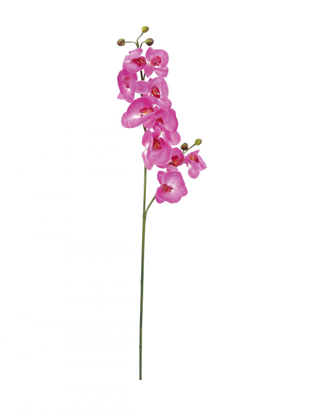 Branche Orchidée Artificielle Violette | 100cm | Floranet