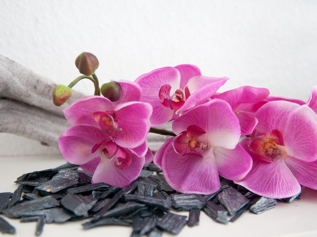 Branche Orchidée Artificielle Violette | 100cm | Floranet