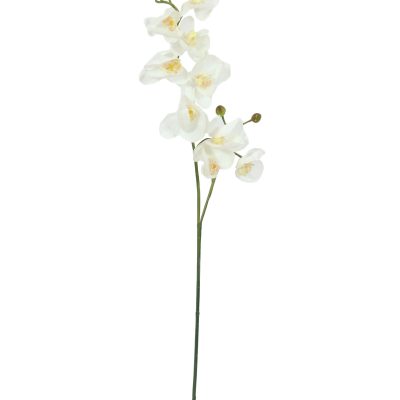 branche-orchidee-artificielle-blanche