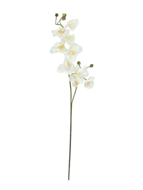 branche-orchidee-artificielle-blanche