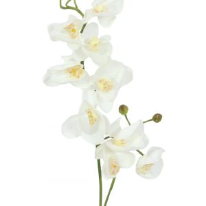 branche-orchidee-artificielle-blanche