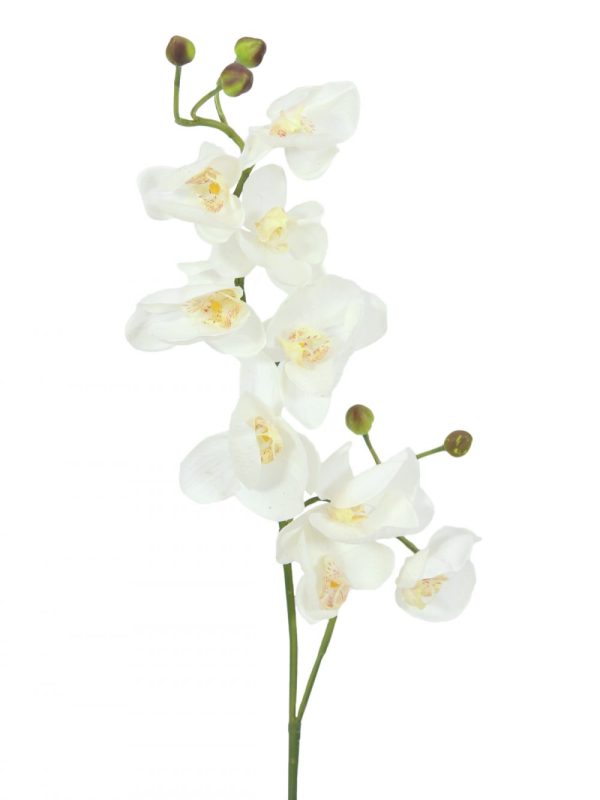 branche-orchidee-artificielle-blanche