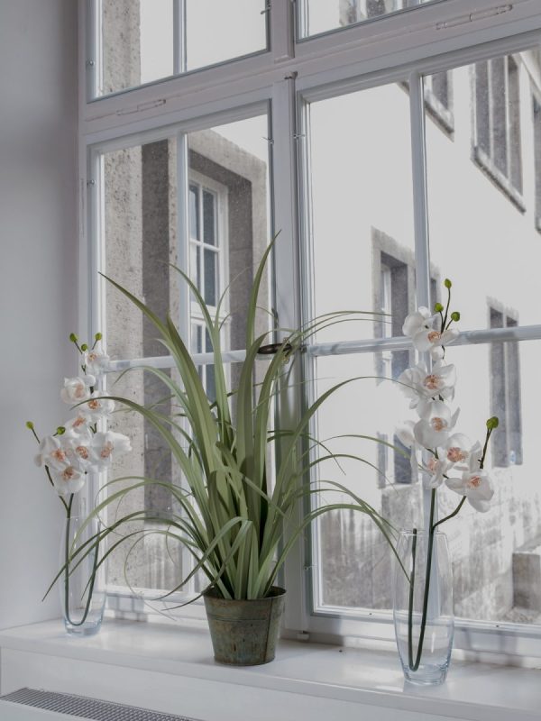 branche-orchidee-artificielle-blanche