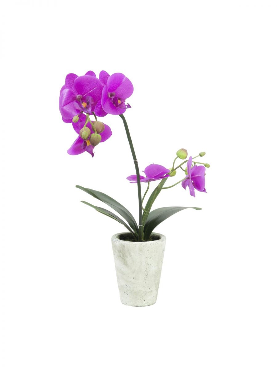 Orchidée Artificielle Pour Décoration | 56cm-Mauve | Floranet