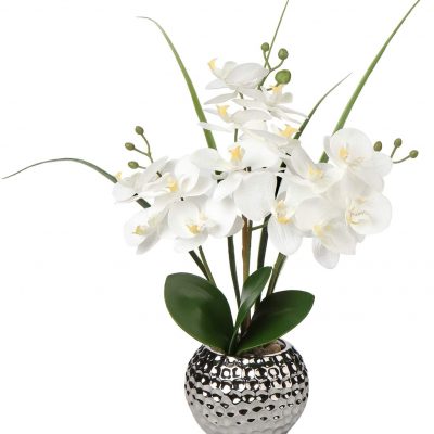 orchidee-artificielle-blanche