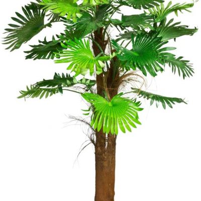 palmier-artificiel-180cm