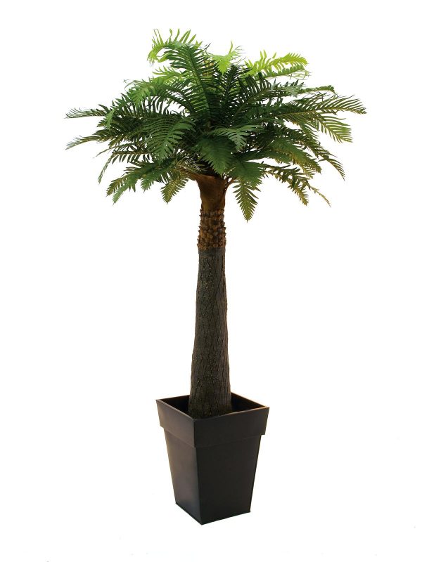 palmier-artificiel-fougere