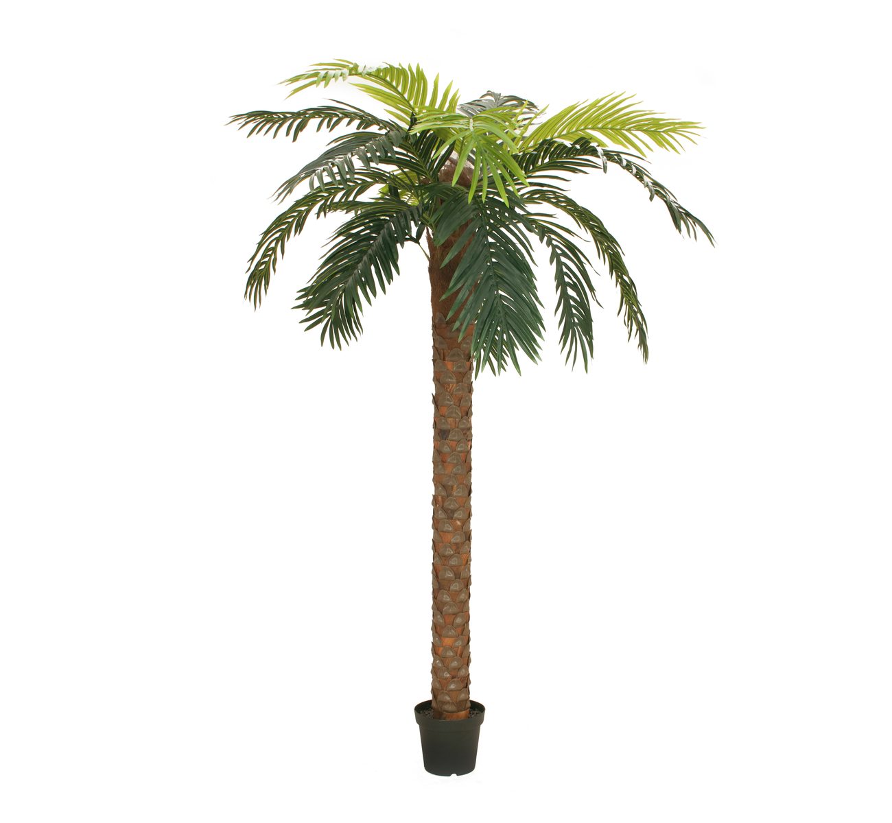 palmier-majesty-artificiel