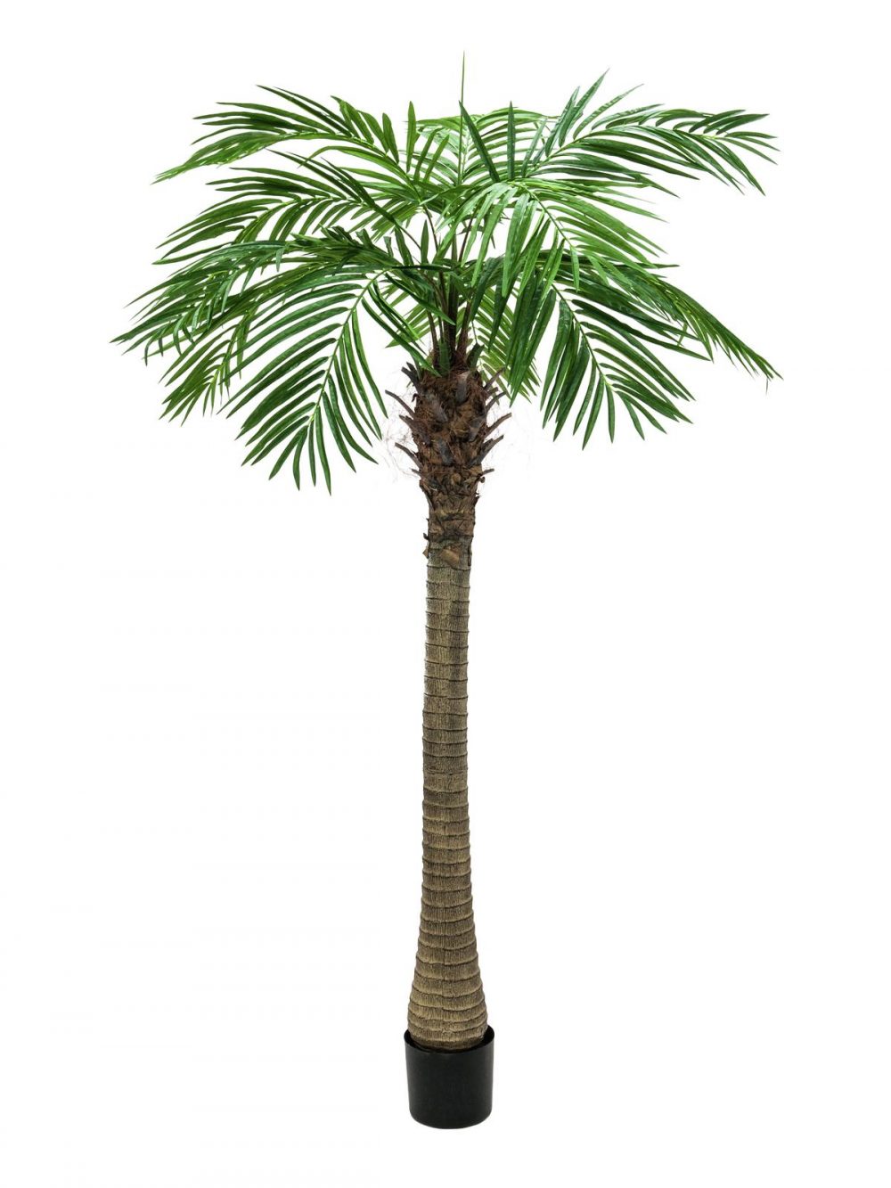 palmier-dattier-artificiel