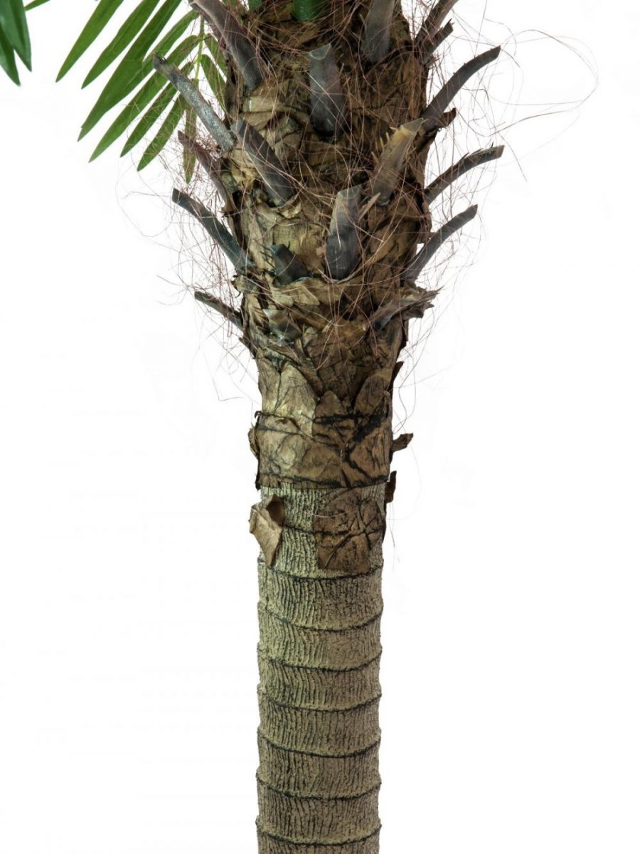 palmier-dattier-artificiel