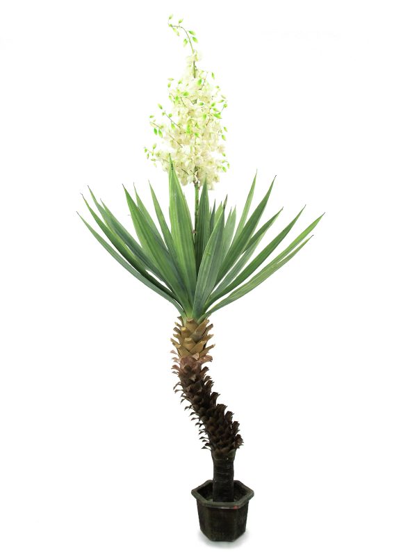 palmier-yucca-artificiel