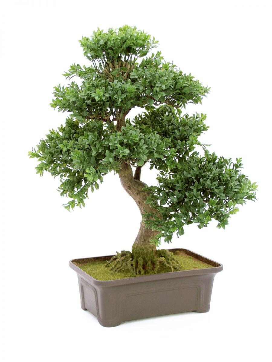 petit-bonsai-artificiel