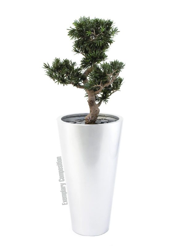 Bonsai Podocarpus Artificiel-80cm – Image 3