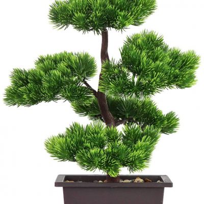 bonsai-pin-artificiel