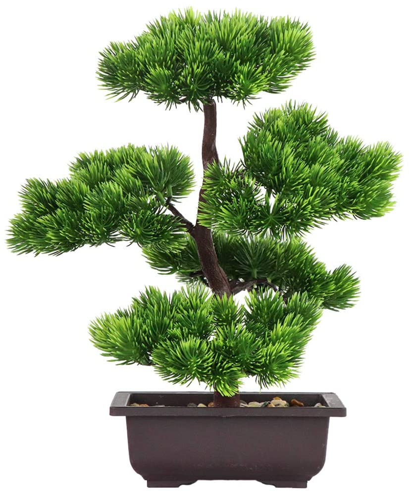 bonsai-pin-artificiel