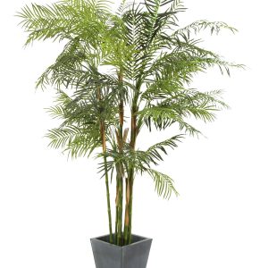 cycas-artificiel